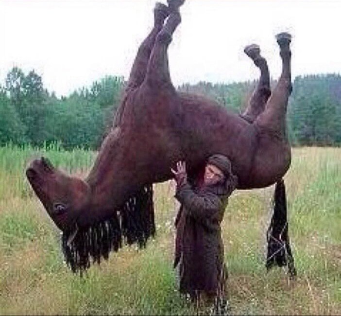 Chrisjoines1 Blank Meme Template