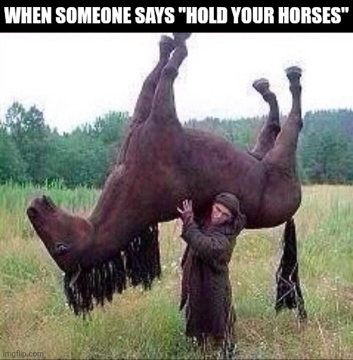 When Someone Says Hold Your Horses | WHEN SOMEONE SAYS "HOLD YOUR HORSES" | image tagged in chrisjoines1 | made w/ Imgflip meme maker