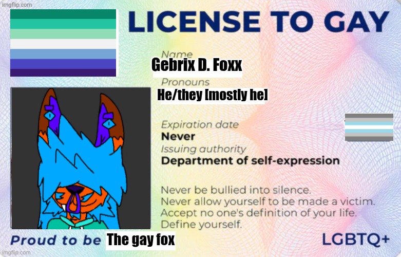 Home of sexual | Gebrix D. Foxx; He/they [mostly he]; The gay fox | image tagged in license to gay | made w/ Imgflip meme maker