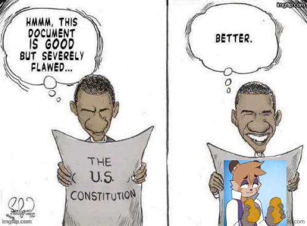 Obama Fixes Constitution | image tagged in obama fixes constitution | made w/ Imgflip meme maker
