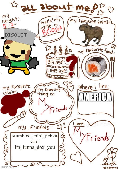 people been doing ts so... | AMERICA; stumbled_mini_pekka
and
Im_funna_dox_you | image tagged in all about meh | made w/ Imgflip meme maker