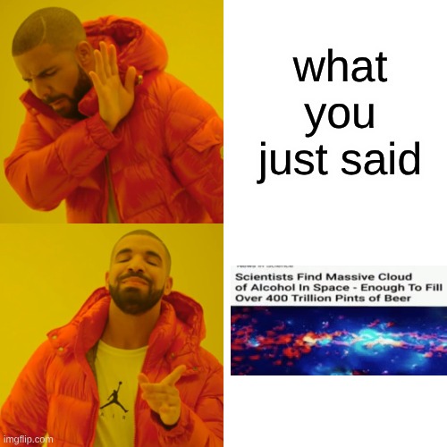 Drake Hotline Bling Meme | what you just said | image tagged in memes,drake hotline bling | made w/ Imgflip meme maker