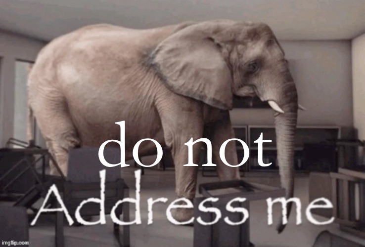 do not | image tagged in address me | made w/ Imgflip meme maker