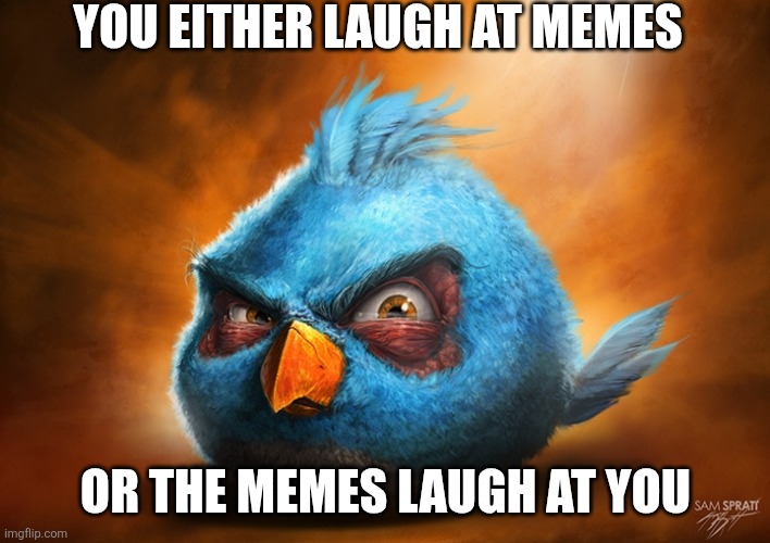 the blues are laughing, they just can't express it right now | YOU EITHER LAUGH AT MEMES; OR THE MEMES LAUGH AT YOU | image tagged in angry birds blue,laughing | made w/ Imgflip meme maker