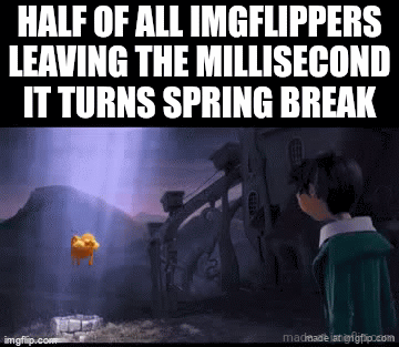 Like why bro - Imgflip