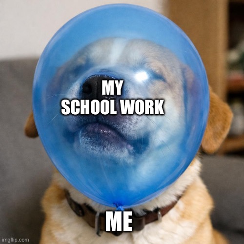 Dog getting it’s face stuck in a ballon | MY SCHOOL WORK; ME | image tagged in dog getting it s face stuck in a ballon,school memes | made w/ Imgflip meme maker
