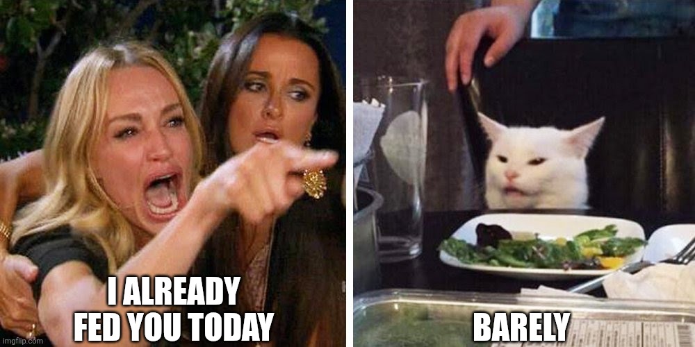 Smudge the cat | I ALREADY FED YOU TODAY; BARELY | image tagged in smudge the cat | made w/ Imgflip meme maker