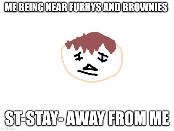 my opinion on furrys and bronies | ME BEING NEAR FURRYS AND BROWNIES; ST-STAY- AWAY FROM ME | image tagged in anti furry,spread the antifurry flag people | made w/ Imgflip meme maker