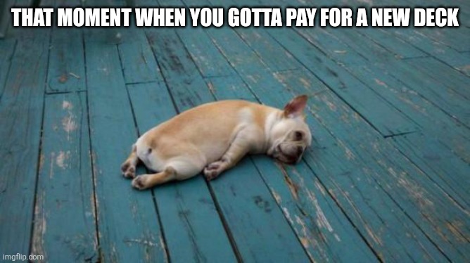 tired dog | THAT MOMENT WHEN YOU GOTTA PAY FOR A NEW DECK | image tagged in tired dog | made w/ Imgflip meme maker