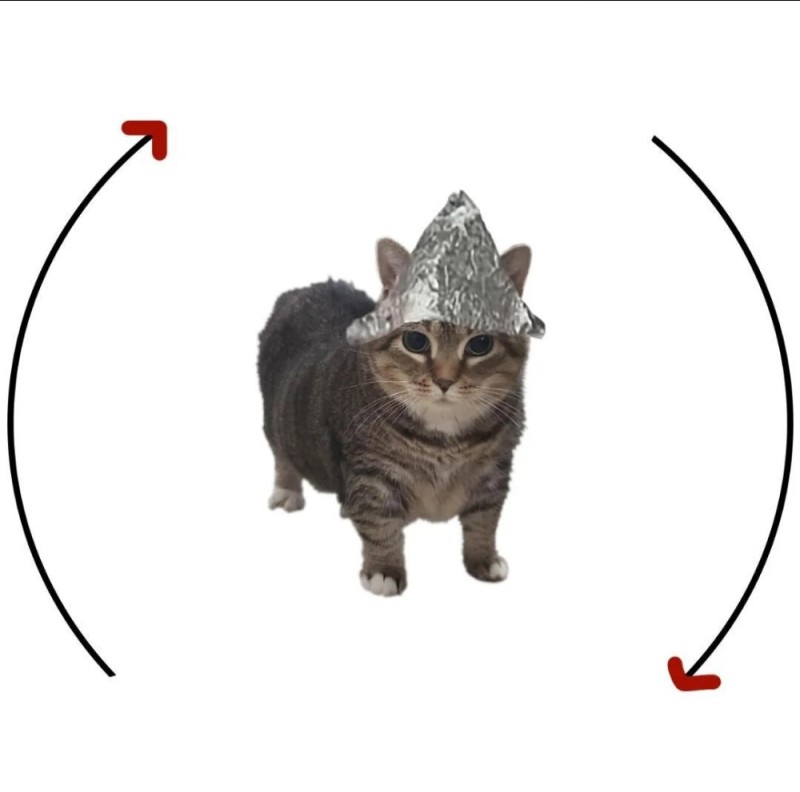 Tinfoil cat cycle Blank Meme Template