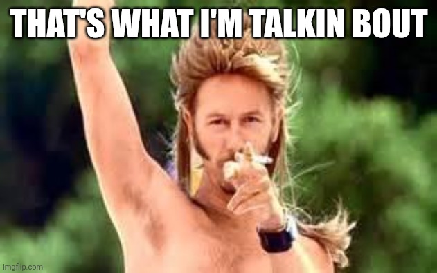 Joe dirt | THAT'S WHAT I'M TALKIN BOUT | image tagged in joe dirt | made w/ Imgflip meme maker