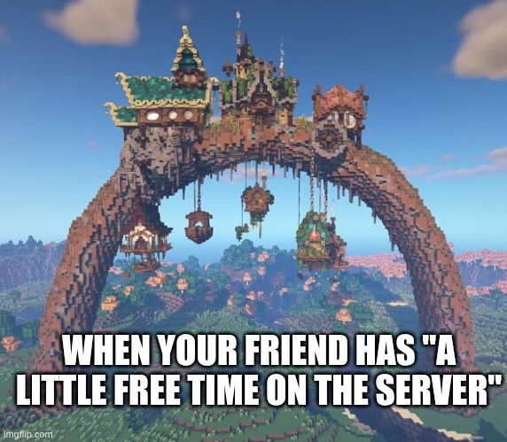 minecraft | WHEN YOUR FRIEND HAS "A LITTLE FREE TIME ON THE SERVER" | image tagged in server,minecraft | made w/ Imgflip meme maker