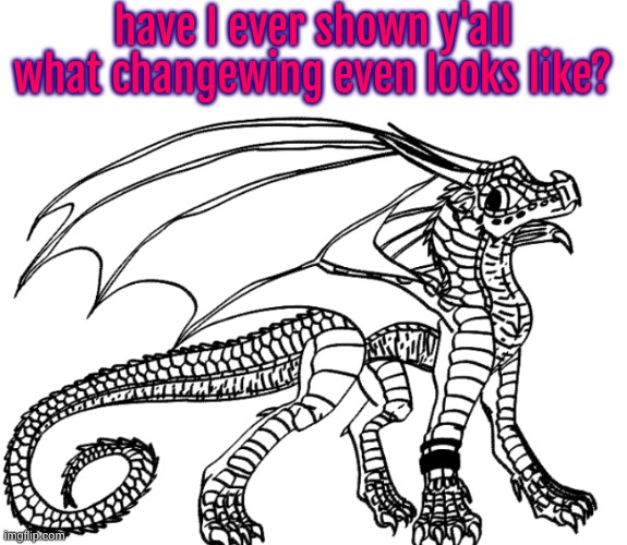 gay. he looks gay. | have I ever shown y'all what changewing even looks like? | made w/ Imgflip meme maker