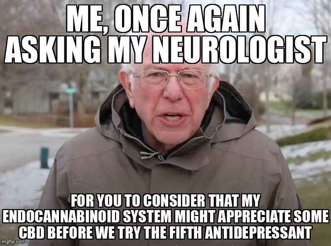 Bernie Sanders Once Again Asking