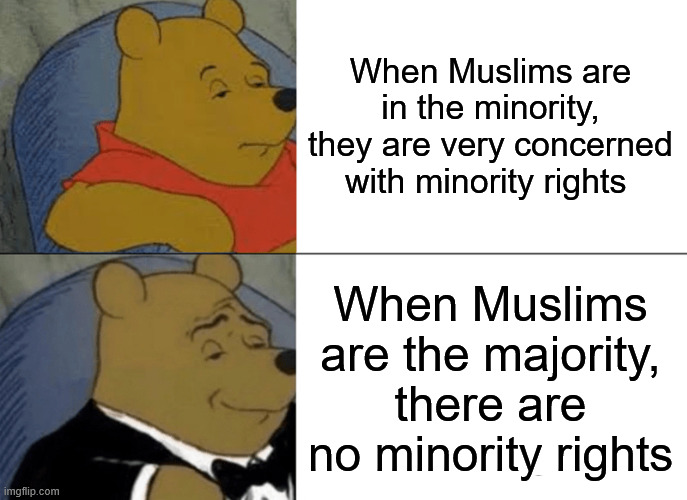 ALLAH IS SATAN | When Muslims are in the minority, they are very concerned with minority rights; When Muslims are the majority, there are no minority rights | image tagged in memes,tuxedo winnie the pooh | made w/ Imgflip meme maker