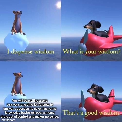 Wisdom dog | You will be waiting a very very very long time for Andrew to answer a question he never has to my knowledge but he will post a meme thats ou | image tagged in wisdom dog | made w/ Imgflip meme maker