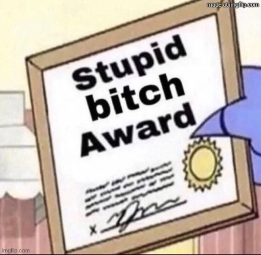 Stupid bitch award | image tagged in stupid bitch award | made w/ Imgflip meme maker