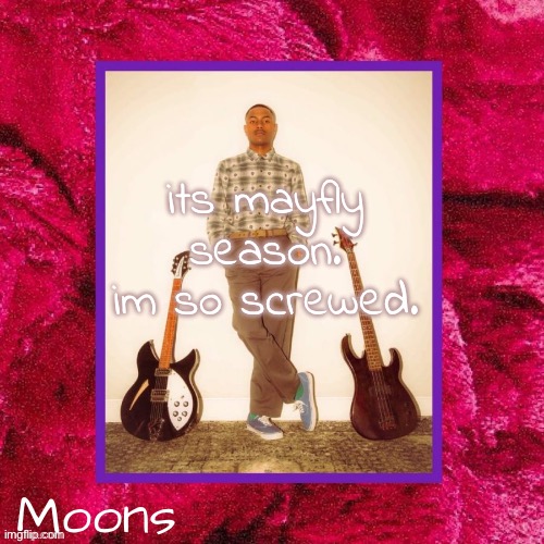 moons Steve Lacy temp | its mayfly season. im so screwed. | image tagged in moons steve lacy temp | made w/ Imgflip meme maker