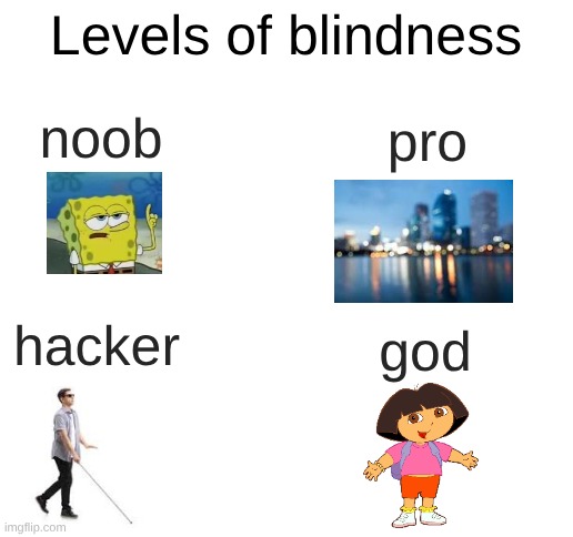levels of blindness | Levels of blindness; noob; pro; hacker; god | image tagged in blank white template,blind | made w/ Imgflip meme maker