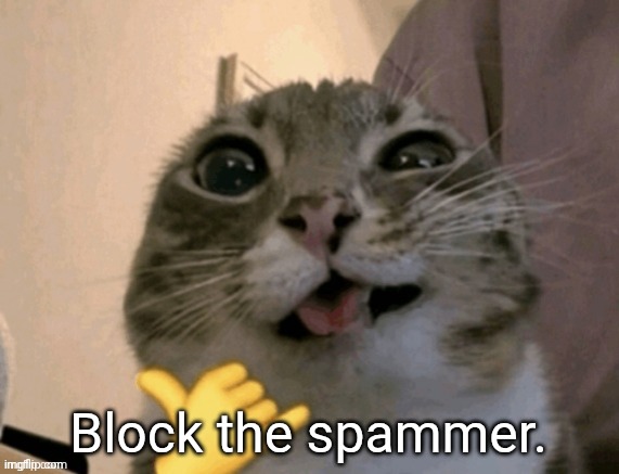 rigby | Block the spammer. | image tagged in rigby | made w/ Imgflip meme maker