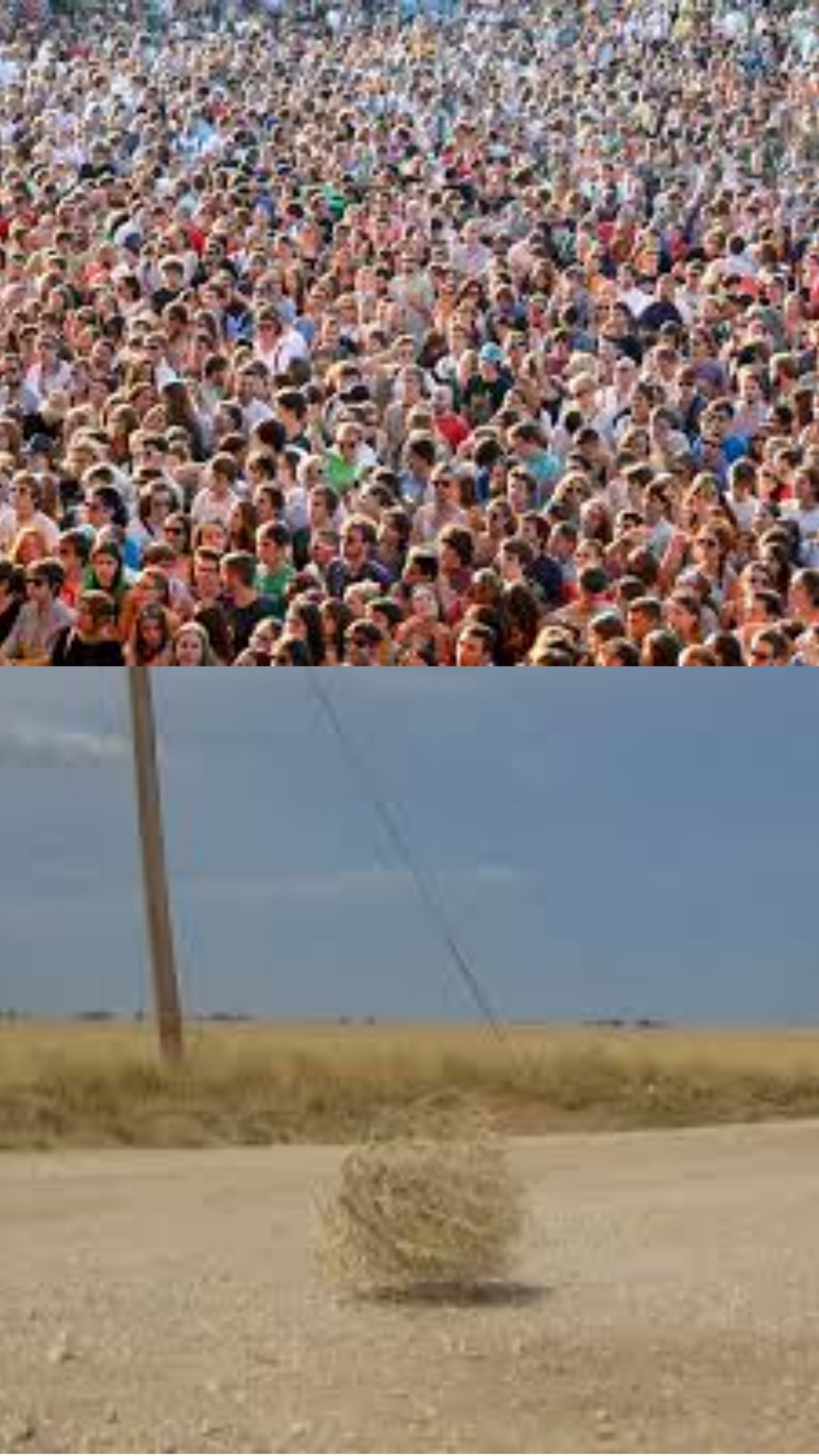 Crowd Vs. Desert Blank Meme Template
