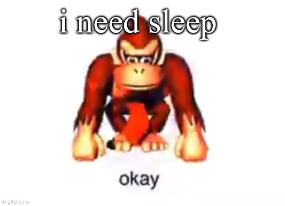 no i don’t | i need sleep | image tagged in okay donkey kong | made w/ Imgflip meme maker