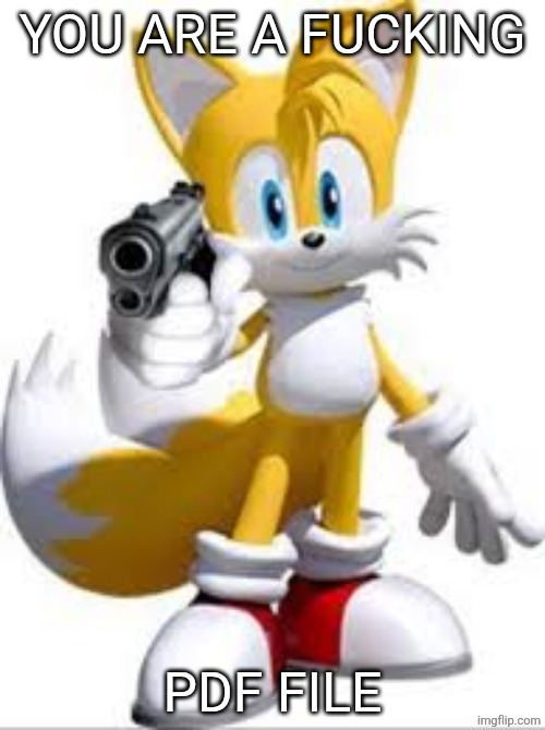 Tails with gun | YOU ARE A FUCKING PDF FILE | image tagged in tails with gun | made w/ Imgflip meme maker