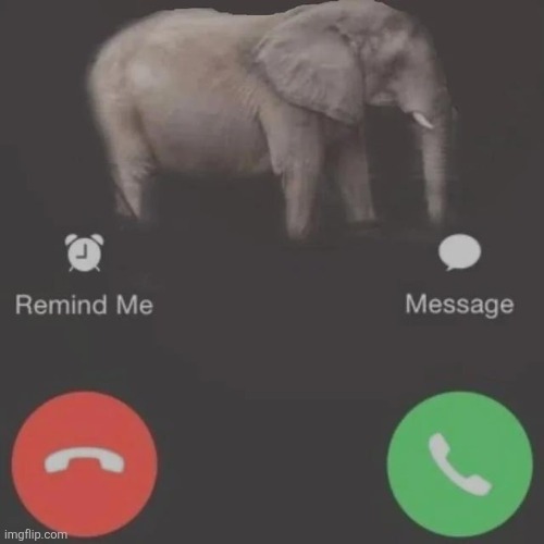 elephant is calling | image tagged in elephant is calling | made w/ Imgflip meme maker