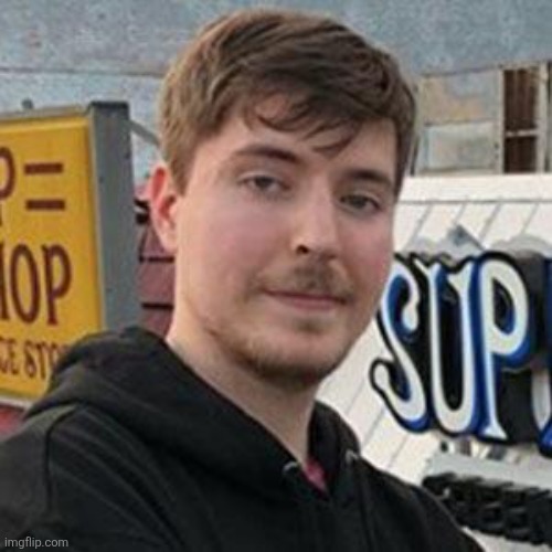 mr beast | image tagged in mr beast | made w/ Imgflip meme maker