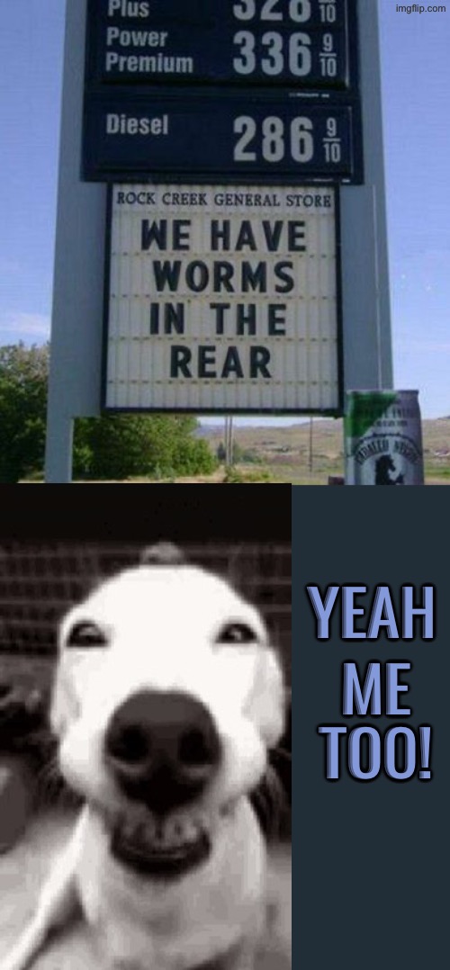 Me Too | YEAH; ME TOO! | image tagged in dogs,funny dogs,smiling dog,funny signs,worms,me too | made w/ Imgflip meme maker
