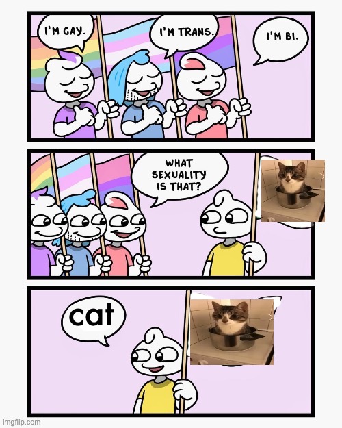 First time posting in weeks just to show I’m alive | cat | image tagged in what sexuality is that,wth | made w/ Imgflip meme maker