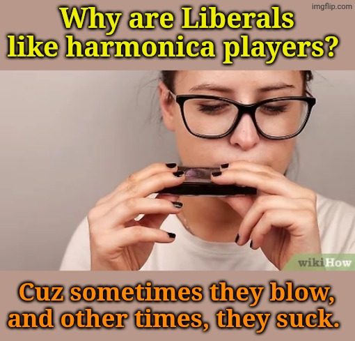 Ba-dum... Tssshhh! | Why are Liberals like harmonica players? Cuz sometimes they blow, and other times, they suck. | made w/ Imgflip meme maker
