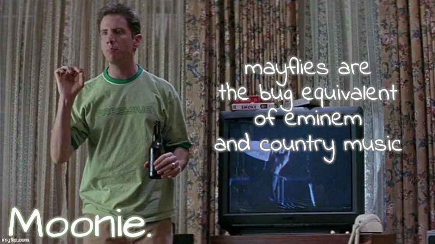 moons randy temp | mayflies are the bug equivalent of eminem and country music | image tagged in moons randy temp | made w/ Imgflip meme maker