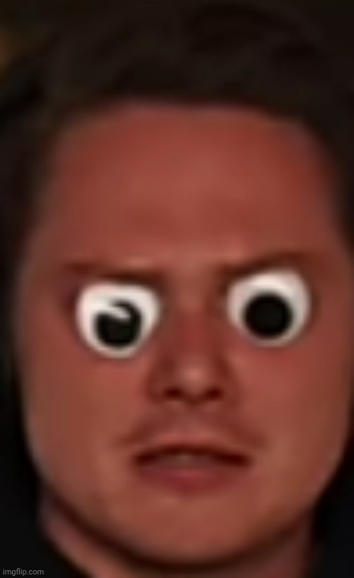What the hell | made w/ Imgflip meme maker