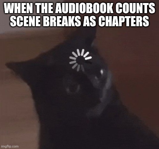 When the audiobook's scene breaks are counted as chapters | WHEN THE AUDIOBOOK COUNTS SCENE BREAKS AS CHAPTERS | image tagged in books,loading cat | made w/ Imgflip meme maker