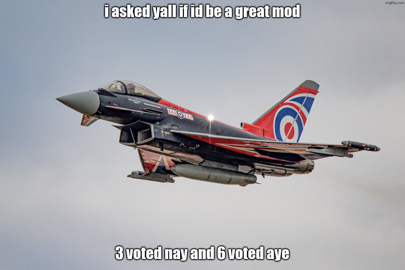 the people have spoken, drew | i asked yall if id be a great mod; 3 voted nay and 6 voted aye | image tagged in eurofighter typhoon blackjack livery | made w/ Imgflip meme maker