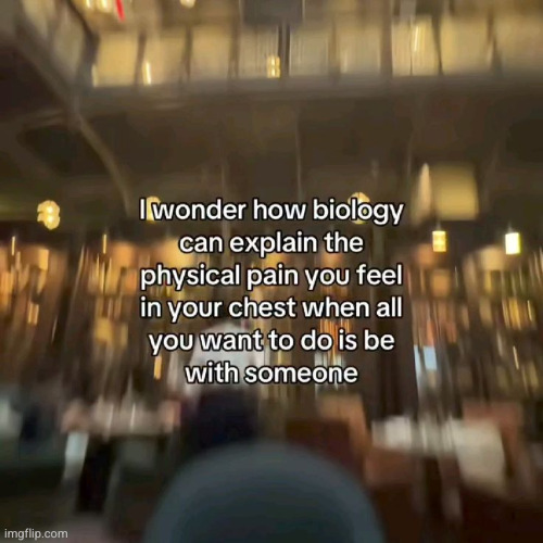 it probably can't | made w/ Imgflip meme maker