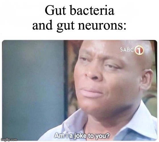 Am I a joke to you | Gut bacteria and gut neurons: | image tagged in am i a joke to you | made w/ Imgflip meme maker