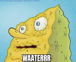 Water Blank Meme Template