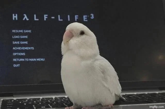 rate it: the birb | made w/ Imgflip meme maker