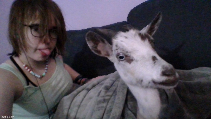 LULU | made w/ Imgflip meme maker