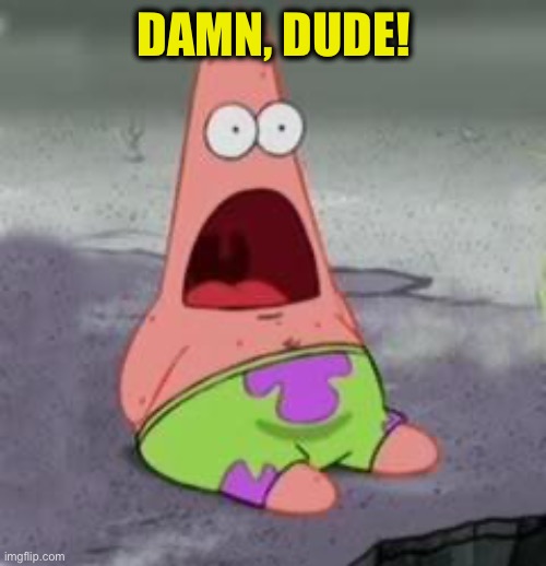DAMN, DUDE! | image tagged in suprised patrick | made w/ Imgflip meme maker