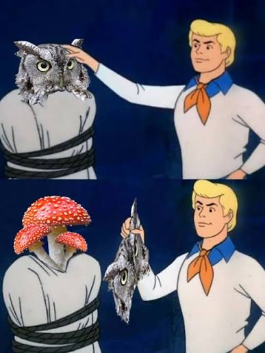 Scooby doo Blank Meme Template