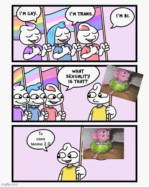 What Sexuality Is That? | Tu casa tenma 2.0 | image tagged in what sexuality is that | made w/ Imgflip meme maker