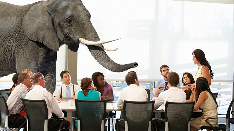 Elephant in the room | image tagged in elephant in the room | made w/ Imgflip meme maker
