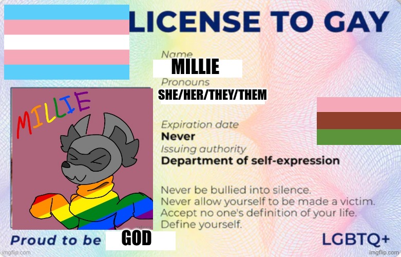 License to Gay | MILLIE; SHE/HER/THEY/THEM; GOD | image tagged in license to gay | made w/ Imgflip meme maker