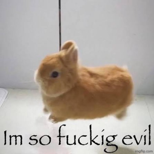 Fuckig evil bnuuy | image tagged in fuckig evil bnuuy | made w/ Imgflip meme maker