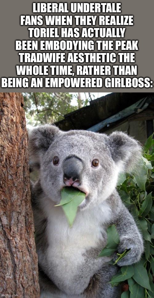 Tis I, the rare libertarian Undertale fan! | LIBERAL UNDERTALE FANS WHEN THEY REALIZE TORIEL HAS ACTUALLY BEEN EMBODYING THE PEAK TRADWIFE AESTHETIC THE WHOLE TIME, RATHER THAN BEING AN EMPOWERED GIRLBOSS: | image tagged in memes,surprised koala,undertale,funny,toriel,politics | made w/ Imgflip meme maker