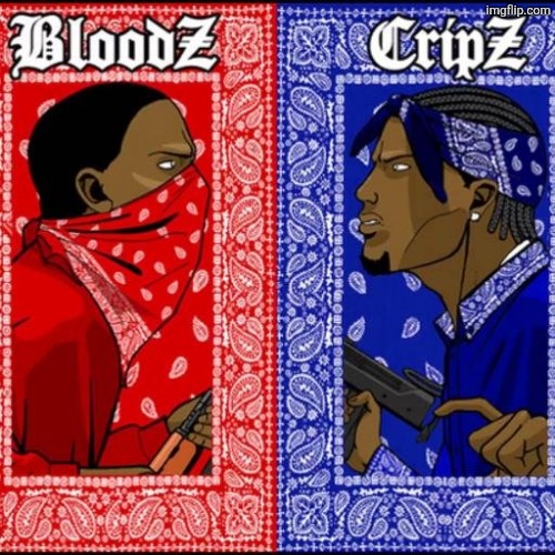 Blood and Crip | image tagged in blood and crip | made w/ Imgflip meme maker