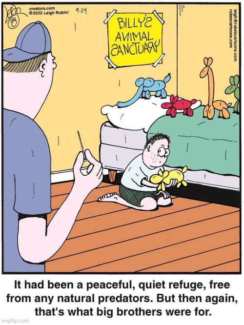 Rubes | image tagged in comics,rubes,balloon animals,animal sanctuary,big brother,needle | made w/ Imgflip meme maker